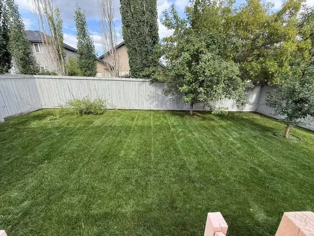 Lawn Mowing & Snow Removal63235119744003124