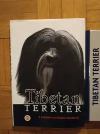 Tibetain terrier