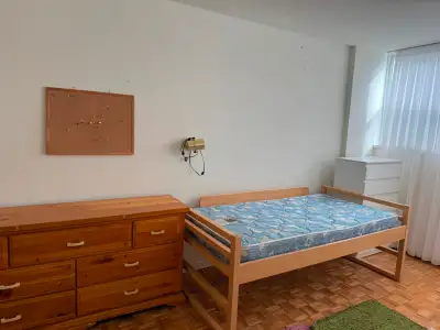Shared Bedroom for Rent - $700