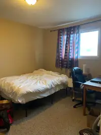 Private Furnished Room Available 