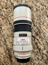 Canon EF 300 mm F 4.0 IS