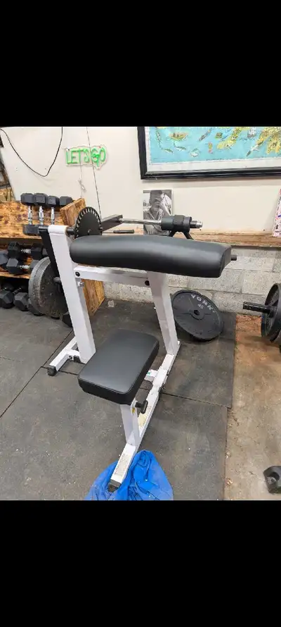 hammer strength arm curl machine , View more