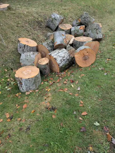 Bois à donner, View more