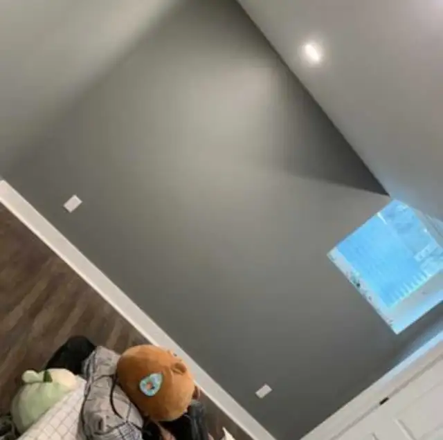 PRO PAINTER OTTAWA! 613-262-372163234805381507122