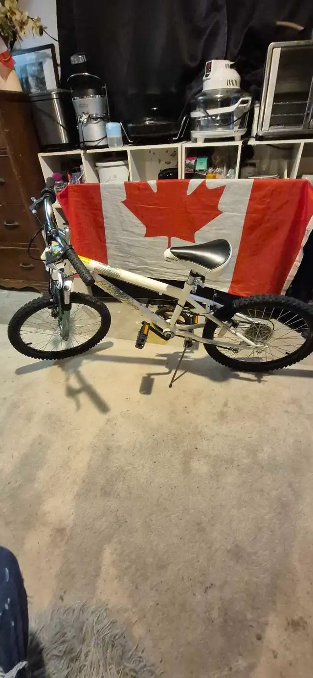 Youth Mountain Bike – Fully Tuned, Greased & Tuned Ready to Ride in Kids in London - Image 5