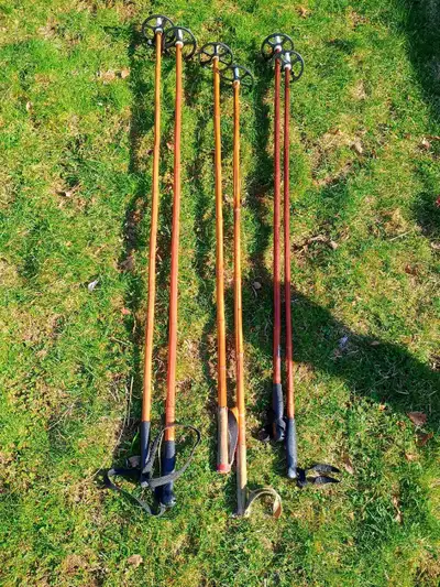 Cross-country ski poles, View more