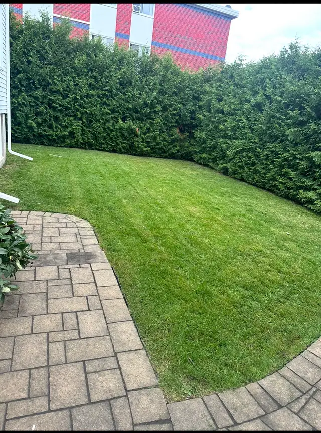 Lanw mowing services 464149116555120644