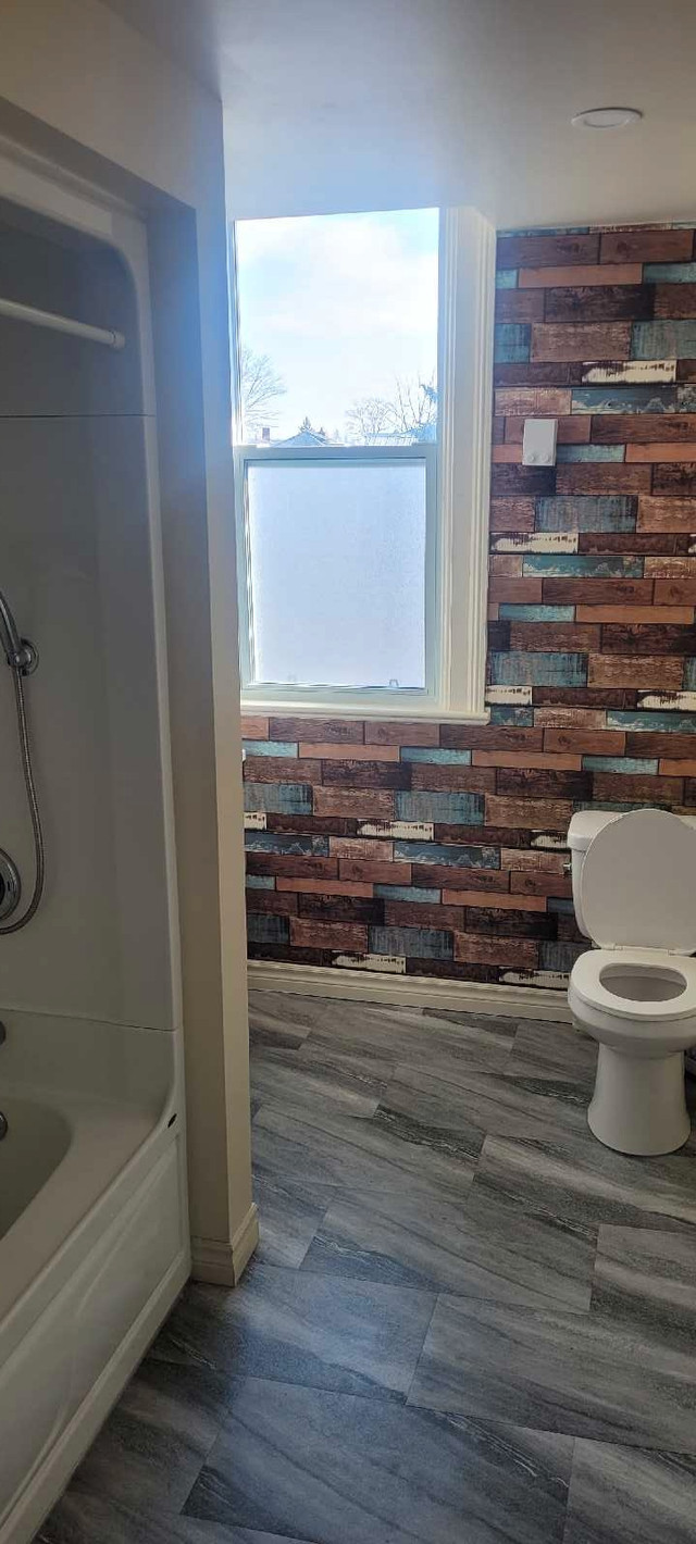 one bedroom apt in Long Term Rentals in Napanee - Image 3