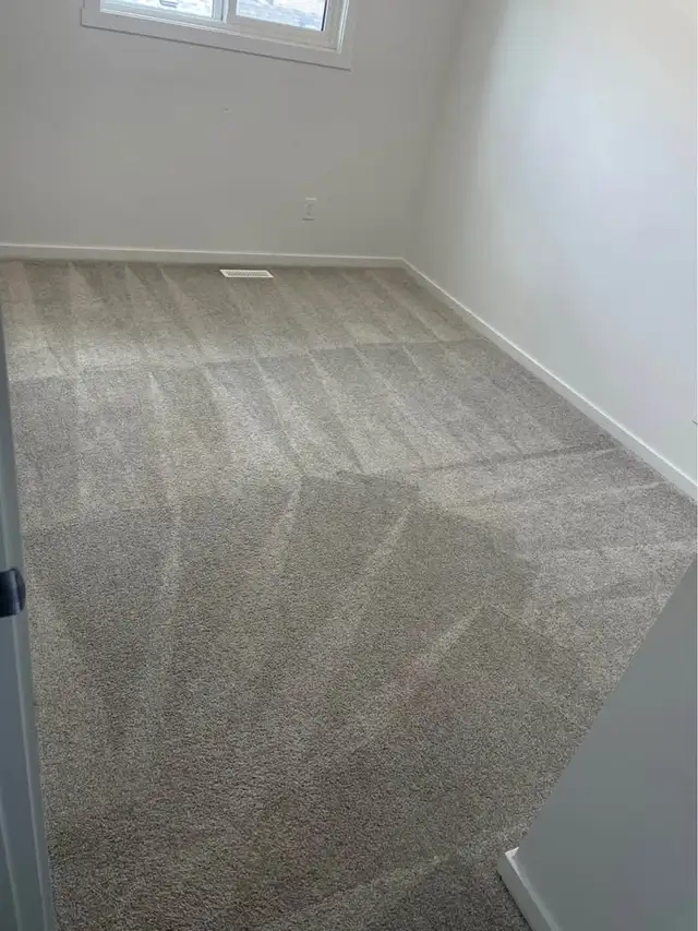 carpet deep cleaning469134724501360640