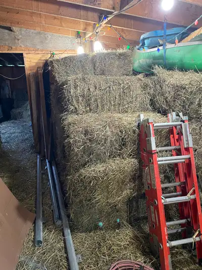 Small square bales last years cut, View more