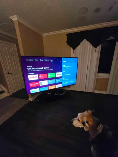Sony 85" 4K Smart TV — XBR-85X950F, Remote + Stand, View more