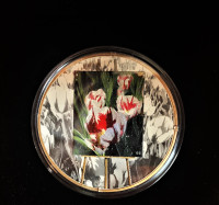 * 2017 $20 Canada Silver Coin Springtime Gift RCM