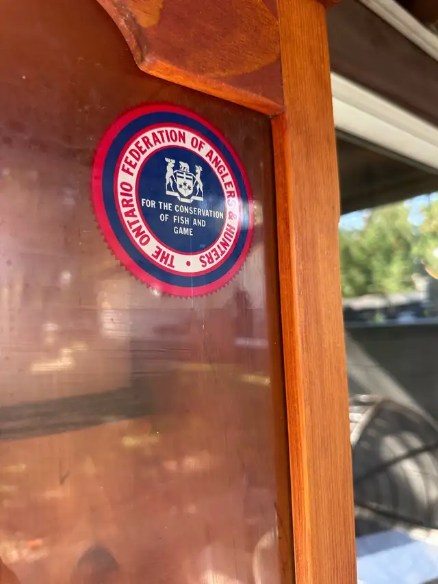 Gun cabinet  in Hutches & Display Cabinets in Peterborough - Image 5