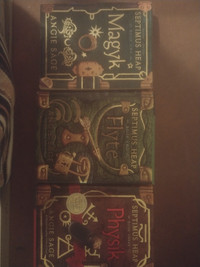 Young adult novels. Septimus Heap first three books.
