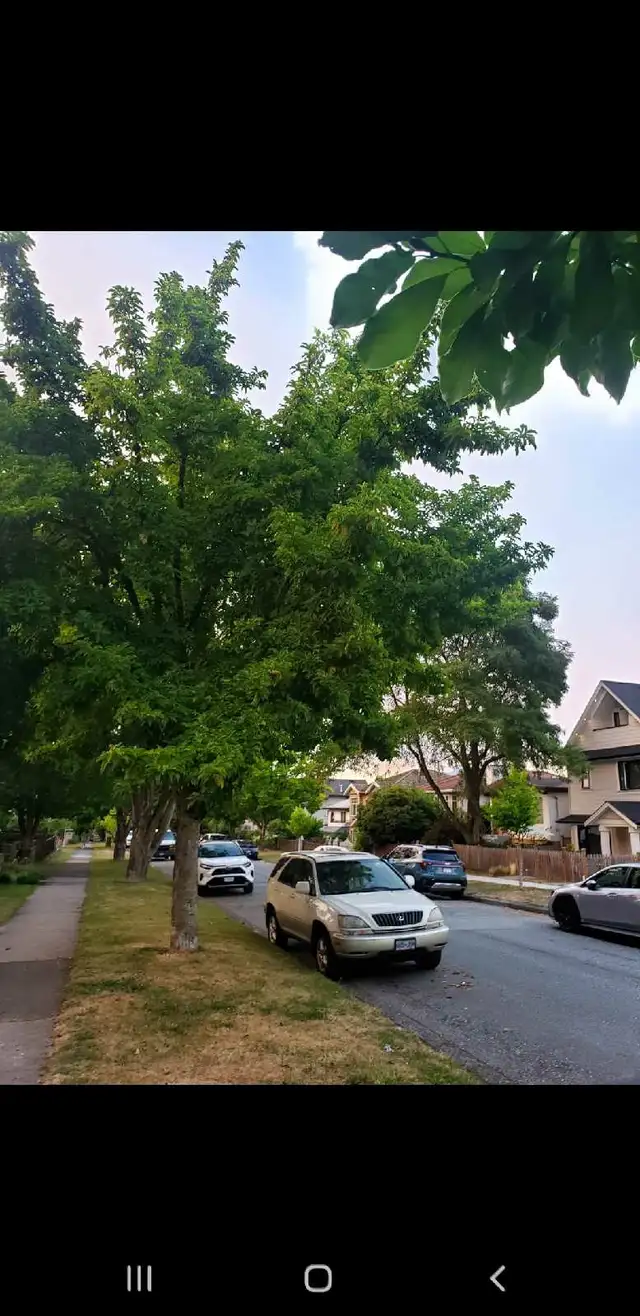 1 bed  and 1.5 bathroom  in Room Rentals & Roommates in Vancouver - Image 3