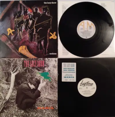 The Lucy Show is a rock/new wave band formed in 1983 by two Canadian-born friends who had moved to E...