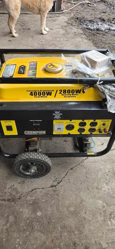 4000 Watt Generator, View more