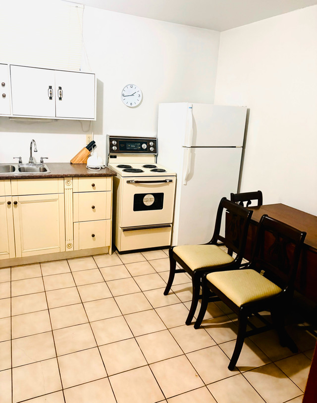 Basement Bachelor Apartment for Rent $1000 Per Month in Long Term Rentals in Sarnia - Image 3