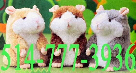 Le Hamster qui Parle et Bouge ! Le jouet le plus Cool | Jouets et jeux |  Laval/Rive Nord | Kijiji