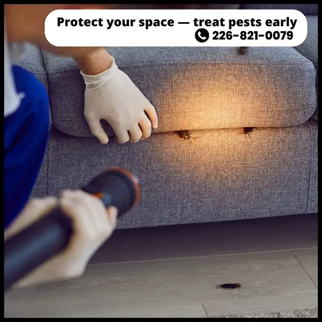 ✆ 226-821-0079 Pest Control – Serving the GTA in Cleaners & Cleaning in Mississauga / Peel Region - Image 7