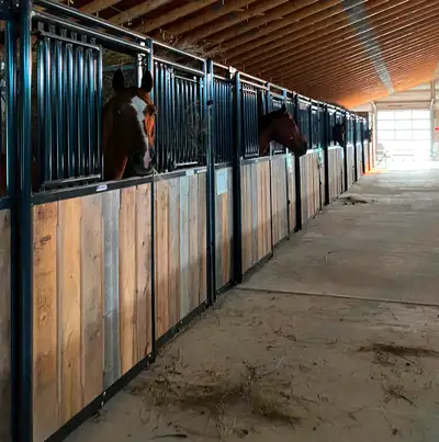 2 indoor stalls available Jan 1 2025 A welcoming, well-maintained home for your horse at our quarter...