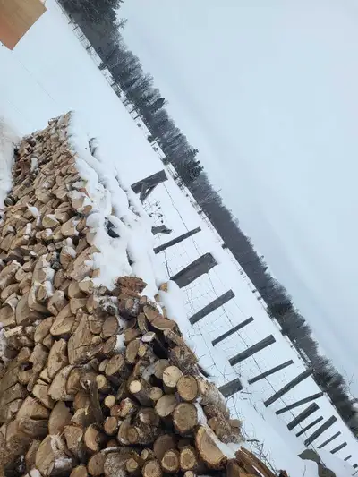 firewood, View more