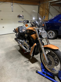 2008 Harley Vrod Anniversary Edition 