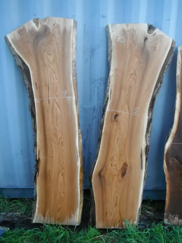 Live edge slabs in Hobbies & Crafts in Ottawa - Image 10