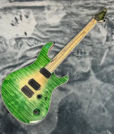 No trades Mint condition Mayones Regius Palemoon fretboard with mahogany body TKO pickup from Bare K...