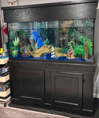 Aquarium 90 gallons with everything included