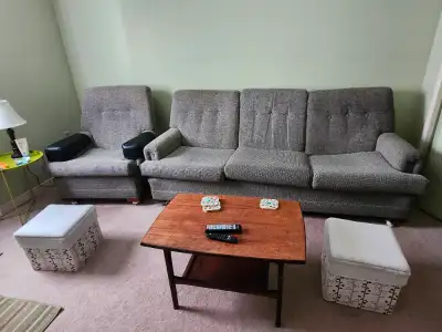 Sofa and chair in good condition