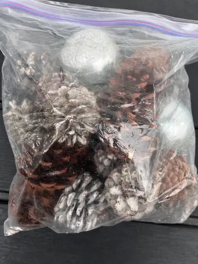 Decorative Pinecones, View more