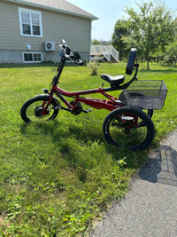 Vélo tricycle 