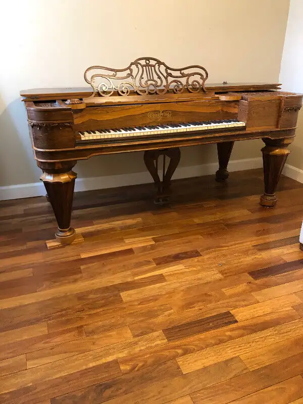 Chickering Grand Piano in Pianos & Keyboards in City of Montréal - Image 2
