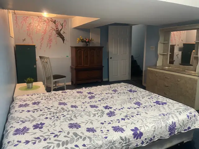 Huge BSMNT Room available on sharing in Malton From Feb 01