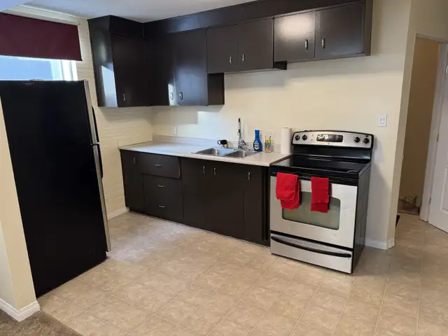 Bright Legal One Bedroom Suite in North Park - Optional Garage in Long Term Rentals in Saskatoon - Image 3