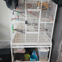Looking to Trade large Bird cages for reptiles/reptile items