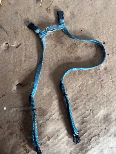 Cat harness , View more