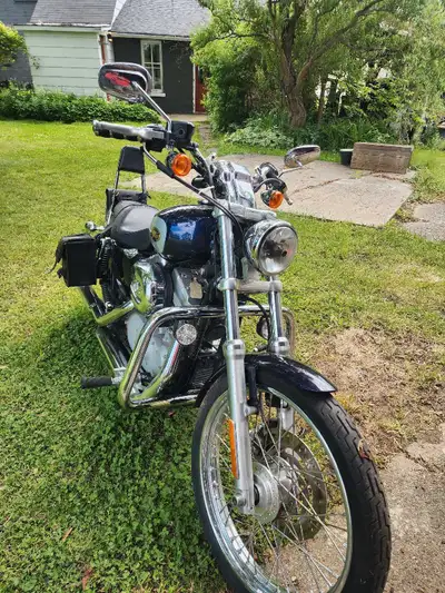 2009 harley sportster 883 custom excellent condition