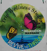 Trio Wellness Studio  in Massage Services in Belleville