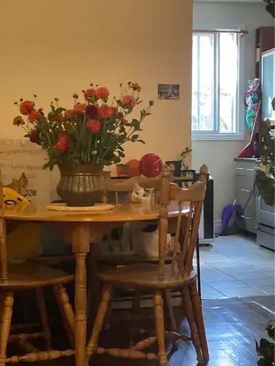 **CESSION DE BAIL POUR LE 1ER MAI** Magnifique 4 1/2 avec pièce double salon/salle à manger bien sit...