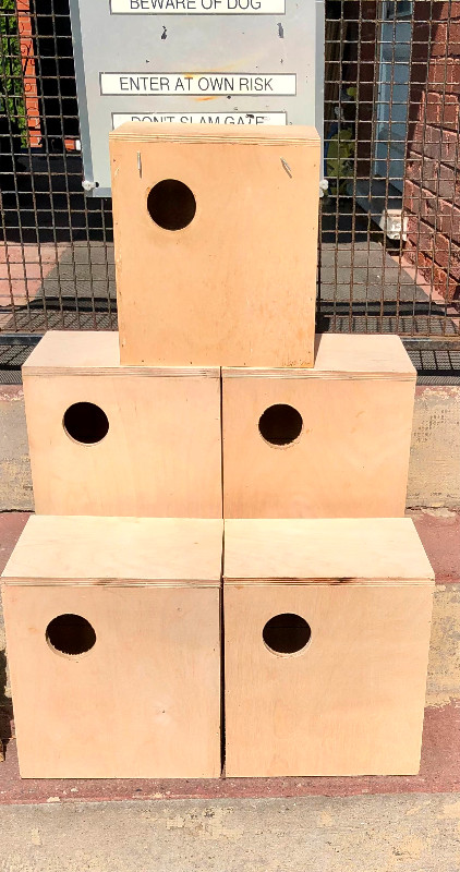 Custom Nest Boxes in Birds for Rehoming in Oshawa / Durham Region