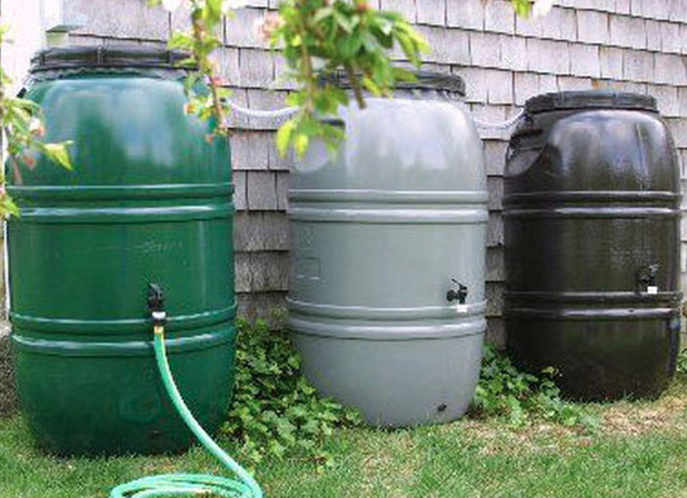 I need some rain barrels for my gardening hobby. I will pay cash in Hobbies & Crafts in St. Albert - Image 2