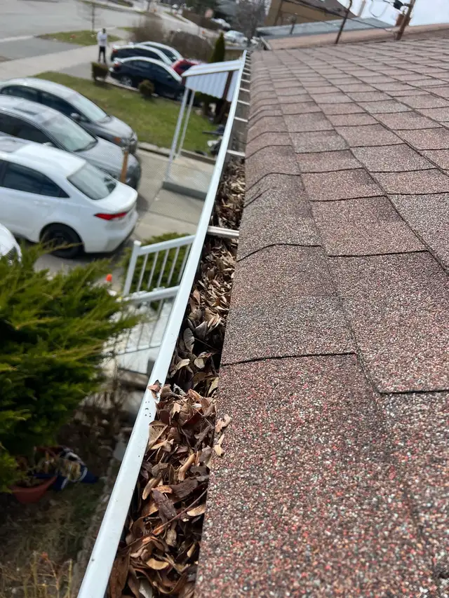 $200 Eavestrough & Leaf Removal Special!63860080396929122