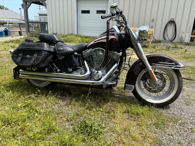 2005 Harley-Davidson Heritage Softail in Street, Cruisers & Choppers in New Glasgow - Image 6