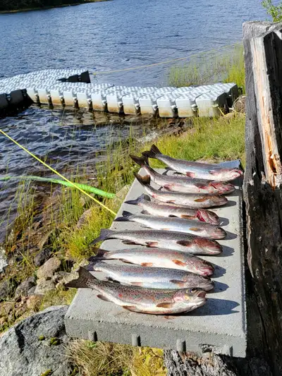 Annual Cabin Lease At Rustic Wilderness Resort, View more