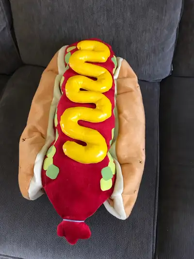 Dog Costume, View more