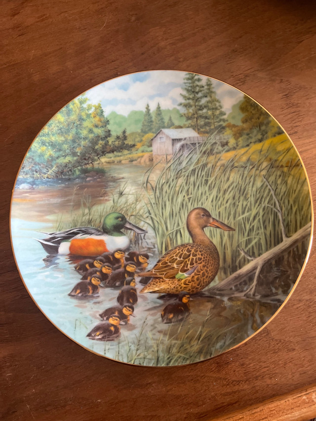 The Northern Shoveler 1987 in Arts & Collectibles in London
