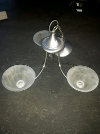 Working ceiling lights
Large $25
Small $15
