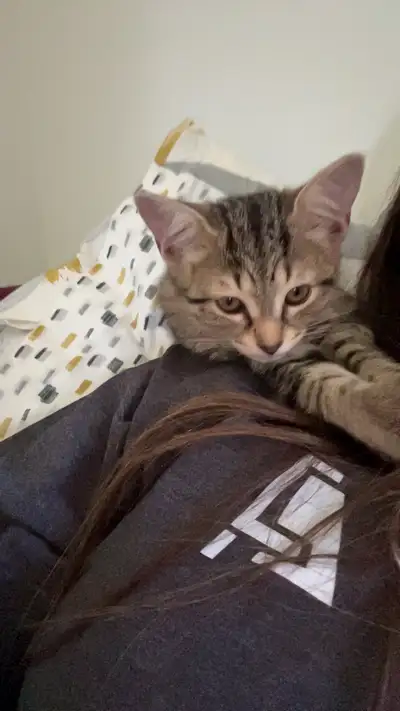 Elle s’appelle Kyra, elle est née le 22 mars 2025